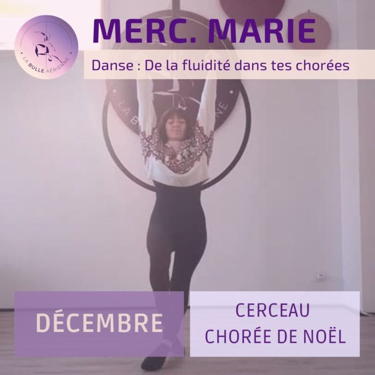 Stage Cerceau Aérien Noel 2025 La Bulle Aérienne Clisson